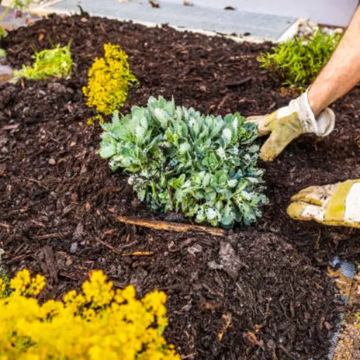 Mulching and Ground Cover Installation Service in New York, Long Island