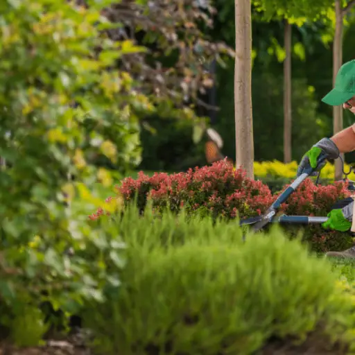 Landscape Maintenance Services Service in New York, Long Island